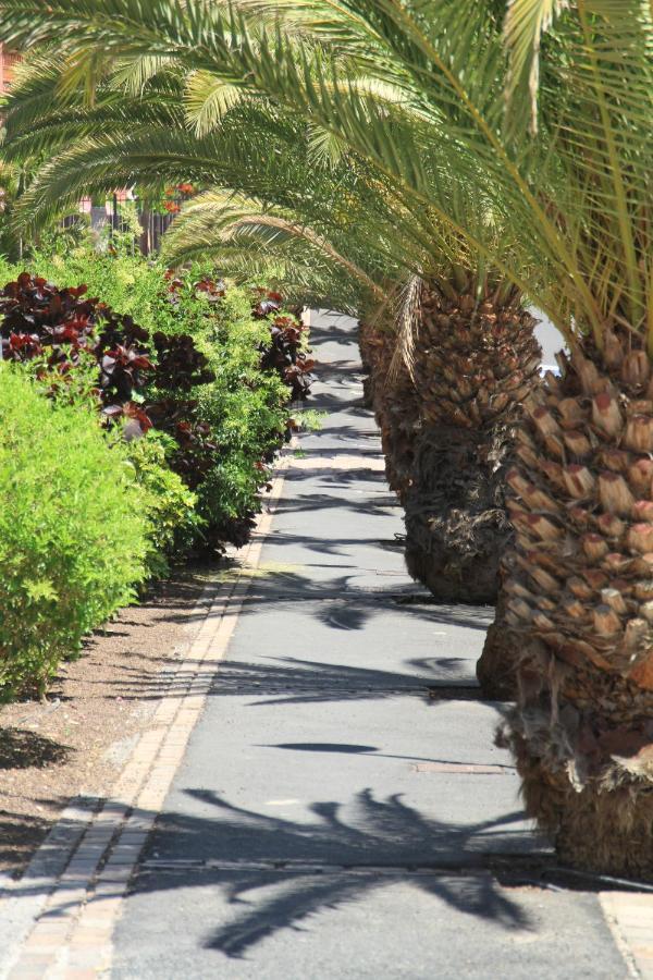 Spacious Apartment With Large Private Garden In Palm Mar Dış mekan fotoğraf